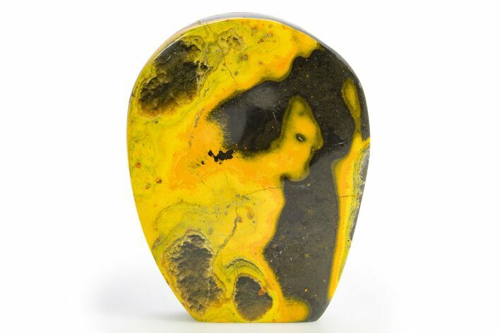 Very Vibrant, Free-Standing Polished Bumblebee Jasper #312057